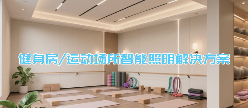 健身房/运动场所智能照明解决方案